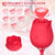 Rose Vibrator And Thrusting Bullet