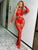 Mesh Bodystocking (without lingerie)